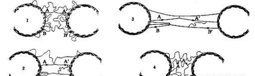 稠油管道節(jié)能輸送橡膠接頭:橡膠用白炭黑 稠油管道節(jié)能輸送橡膠接頭:橡膠用白炭黑